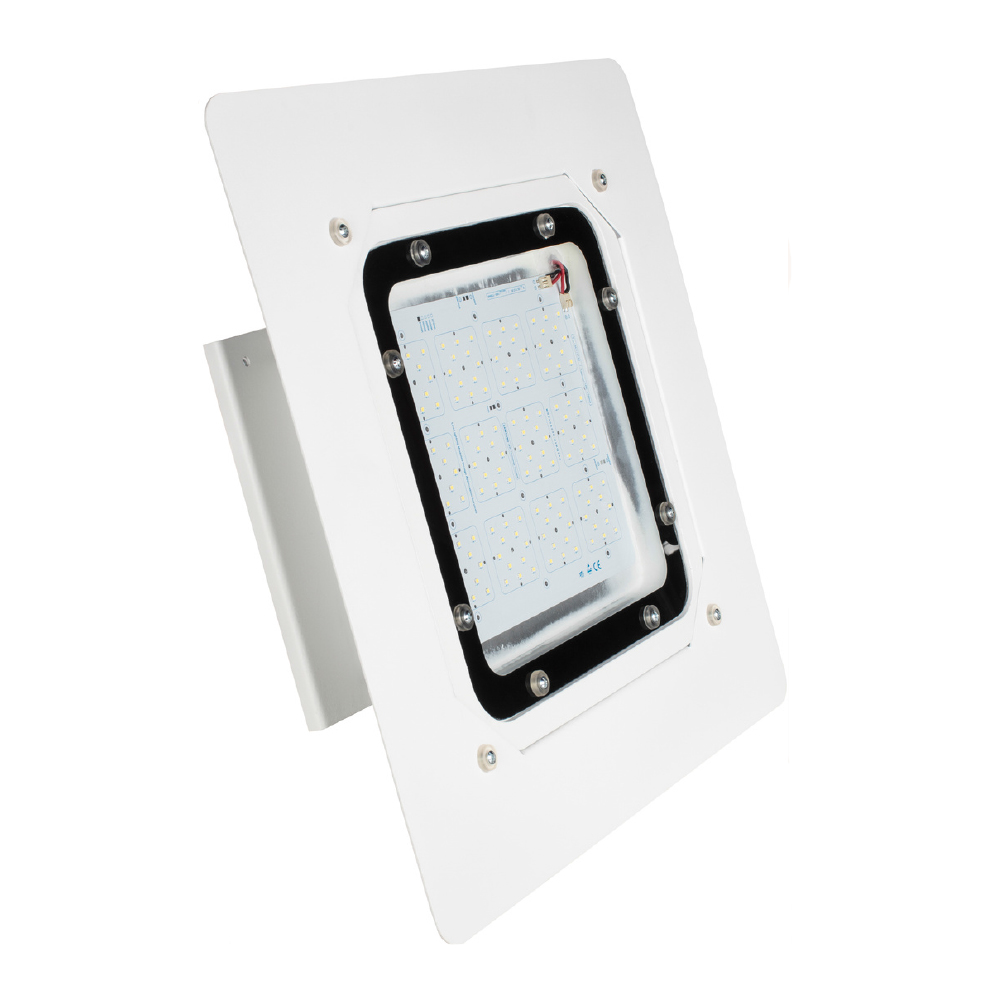 KANOPİ (BENZİNLİK GRUBU)